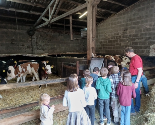202605_KF_Bauernhof